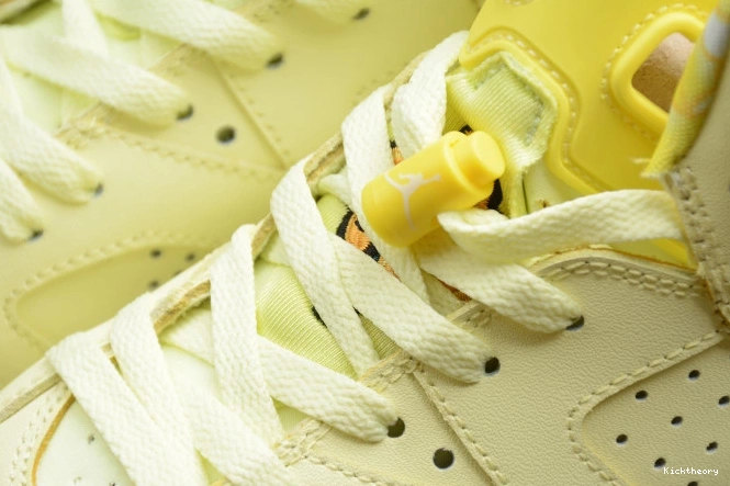 Kick Theory Floral Dynamic Yellow Air Retro Jordan (GS) 6 543390-800 0810